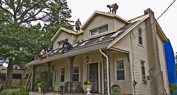 Best Storm Damage Roof Repair  in Ashland, OH